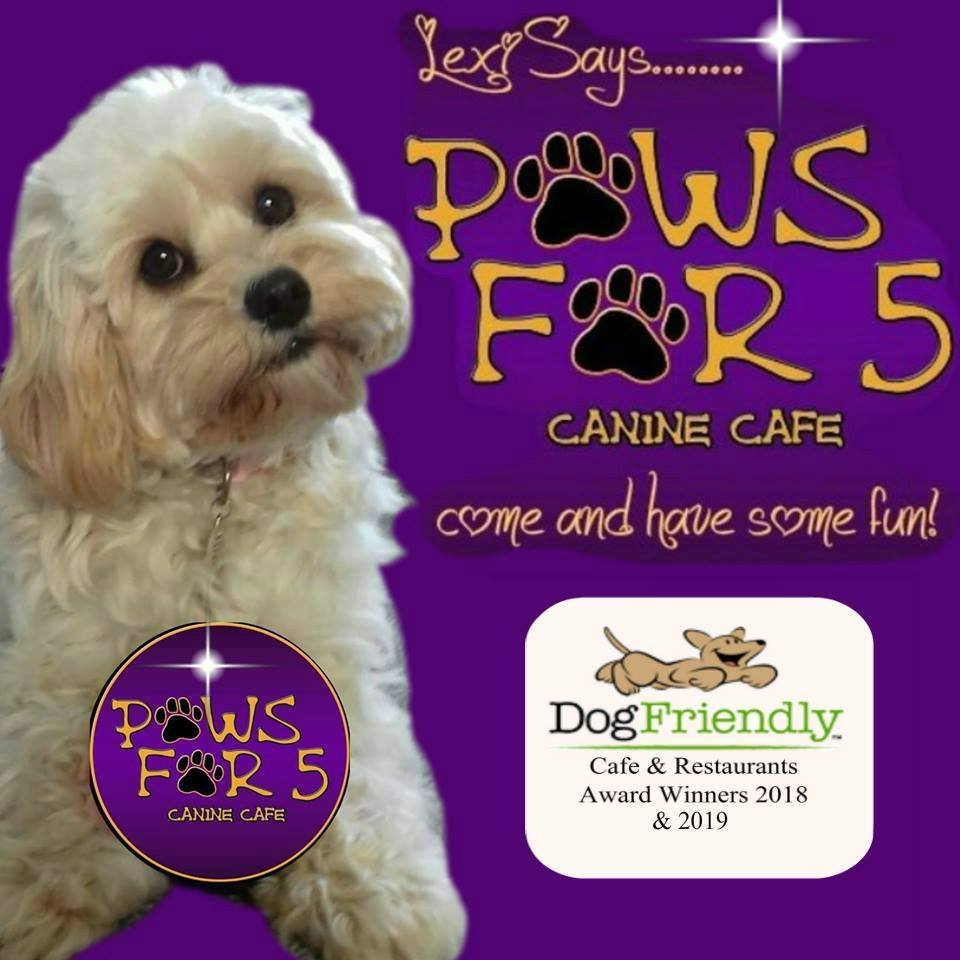 Paws for 5 Canine Café